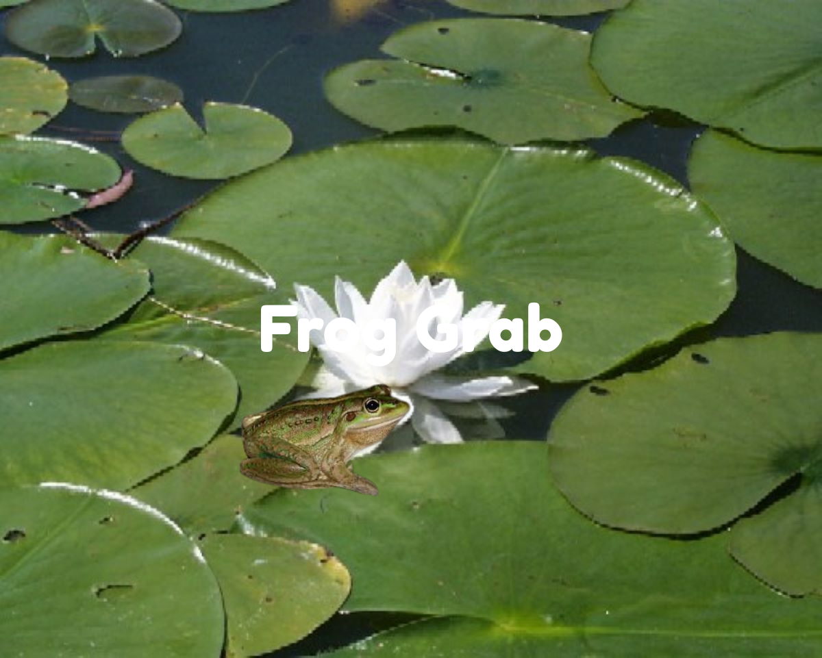Frog Grab
